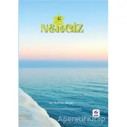 Nergiz - Ali Burhan Bilgiç - Arel Kitap