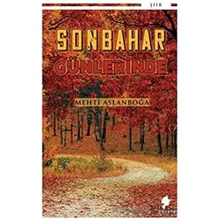 Sonbahar Günlerinde - Mehti Aslanboğa - Morena Yayınevi