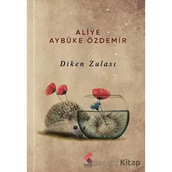 Diken Zulası - Aliye Aybüke Özdemir - Klaros Yayınları