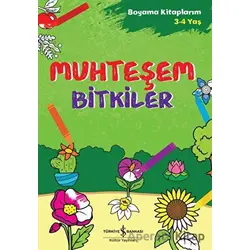 Muhteşem Bitkiler - Boyama Kitaplarım 3 - 4 Yaş - Ahu Ayan - İş Bankası Kültür Yayınları