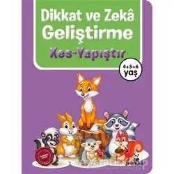 Dikkat ve Zekâ Geliştirme – Kes - Yapıştır - Kolektif - Beyaz Panda Yayınları