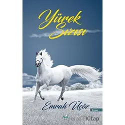 Yürek Sızısı - Emrah Üçöz - İzan Yayıncılık