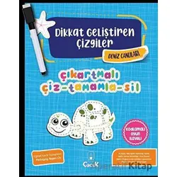 Deniz Canlıları - Dikkat Geliştiren Çizgiler - Kolektif - Floki Çocuk