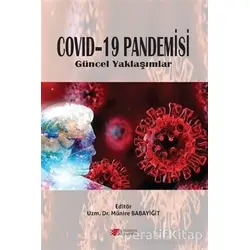 Covid-19 Pandemisi - Münire Babayiğit - Berikan Yayınları
