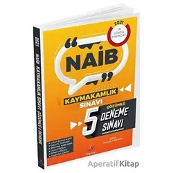 2022 NAİB Kaymakamlık 5 Deneme Çözümlü - Oğuz S. Tarhan - Dizgi Kitap