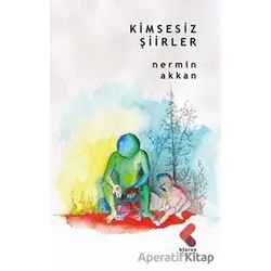 Kimsesiz Şiirler - Nermin Akkan - Klaros Yayınları