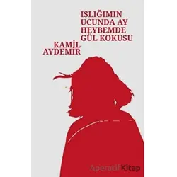 Islığımın Ucunda Ay Heybemde Gül Kokusu - Kamil Aydemir - Klaros Yayınları
