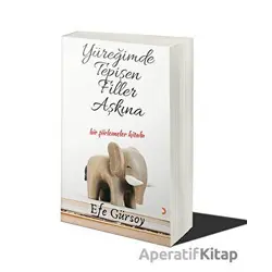 Yüreğimde Tepişen Filler Aşkına - Efe Gürsoy - Cinius Yayınları