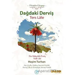 Dağdaki Derviş Ters Lale - Haşim Turhan - Salon Yayınları