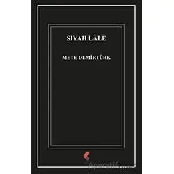 Siyah Lale - Mete Demirtürk - Klaros Yayınları