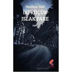 İki Küçük Islak Fare - Handan Tan - Klaros Yayınları