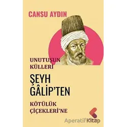 Unutuşun Külleri; Şeyh Galip’ten Kötülük Çiçekleri’ne - Cansu Aydın - Klaros Yayınları