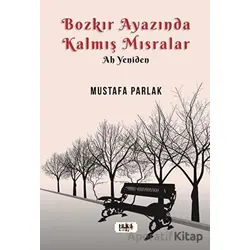 Bozkır Ayazında Kalmış Mısralar - Mustafa Parlak - Tilki Kitap