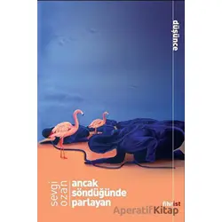 Ancak Söndüğünde Parlayan - Sevgi Ozan - Fihrist Kitap