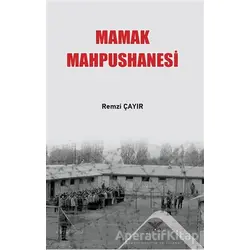 Mamak Mahpushanesi - Remzi Çayır - Altınordu Yayınları