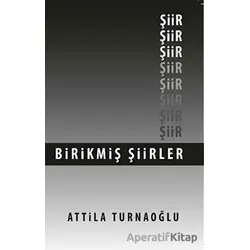 Birikmiş Şiirler - Attila Turnaoğlu - İmgenin Çocukları Yayınevi