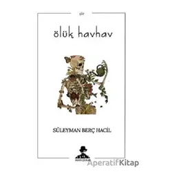 Ölük Havhav - Süleyman Berç Hacil - İmgenin Çocukları Yayınevi