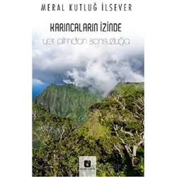 Karıncaların İzinde - Yer Altından Sonsuzluğa - Meral Kutluğ İlsever - İmgenin Çocukları Yayınevi