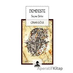 Demdeste - Çınar Göle - İmgenin Çocukları Yayınevi