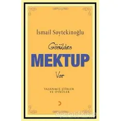Gönülden Mektup Var - İsmail Soytekinoğlu - Cinius Yayınları