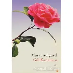 Gül Kanaması - Murat Adıgüzel - Cinius Yayınları