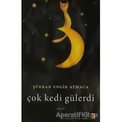 Çok Kedi Gülerdi - Şükran Engin Atmaca - Cinius Yayınları
