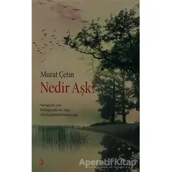 Nedir Aşk? - Murat Çetin - Cinius Yayınları