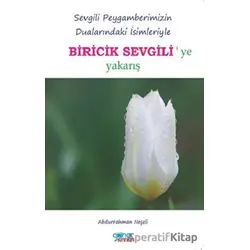 Biricik Sevgiliye Yakarış - Abdurrahman Neşeli - Gülnar Yayınları
