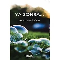 Ya Sonra... - Sedat Sadioğlu - Gülnar Yayınları
