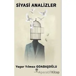 Siyasi Analizler - Yaşar Yılmaz Odabaşoğlu - Platanus Publishing