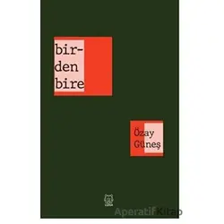 Birdenbire - Özay Güneş - Luna Yayınları