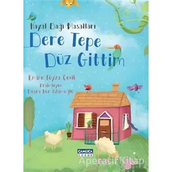 Hayal Dağı Masalları 2 - Dere Tepe Düz Gittim - Emine Feyza Çevik - Çamlıca Çocuk Yayınları