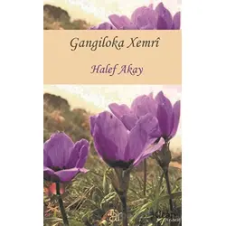 Gangiloka Xemri - Halef Akay - Ar Yayınları