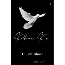 Kalbimin Kuşu - Gülşah Yılmaz - Cinius Yayınları