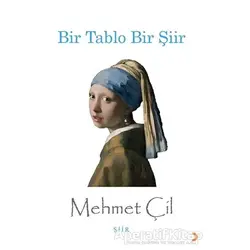 Bir Tablo Bir Şiir - Mehmet Çil - Cinius Yayınları