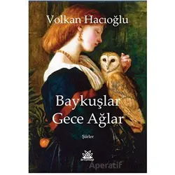 Baykuşlar Gece Ağlar - Volkan Hacıoğlu - Artshop Yayıncılık