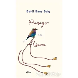 Panayır Akşamı - Betül Barış Baig - Şule Yayınları