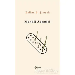 Mendil Acemisi - Belkıs B. Şimşek - Şule Yayınları