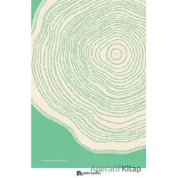 Büyükler Yıkılıyor - Ashton Applewhite - Sander Yayınları