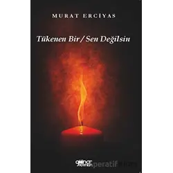 Tükenen Bir Sen Değilsin - Murat Erciyas - Gülnar Yayınları