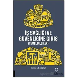 İş Sağlığı ve Güvenliğine Giriş - Mehmet Erdem Güney - Akademisyen Kitabevi