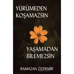 Yürümeden Koşamazsın Yaşamadan Bilemezsin - Ramazan Özdemir - Platanus Publishing