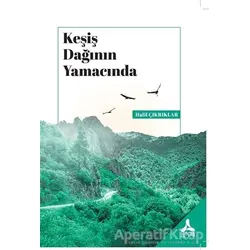 Keşiş Dağının Yamacında - Halil Çıkrıklar - Sonçağ Yayınları