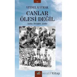 Canlar Ölesi Değil - Veysel Kaymak - İzan Yayıncılık