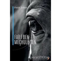 Faili Ben Meçhulü Sen - Fatih Şeker - Cinius Yayınları