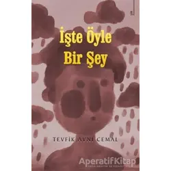 İşte Öyle Bir Şey - Tevfik Avni Cemal - Karina Yayınevi