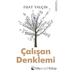 Çalışan Denklemi - Fuat Yalçın - Karina Yayınevi