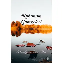 Ruhumun Gamzeleri - Saliha Şuura Gamze Böce - Luna Yayınları