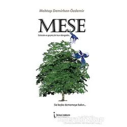 Meşe - Mehtap Demirhan Özdemir - İkinci Adam Yayınları