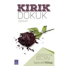 Kırık Dökük - Zekeriyya Bican - Göl Yayıncılık